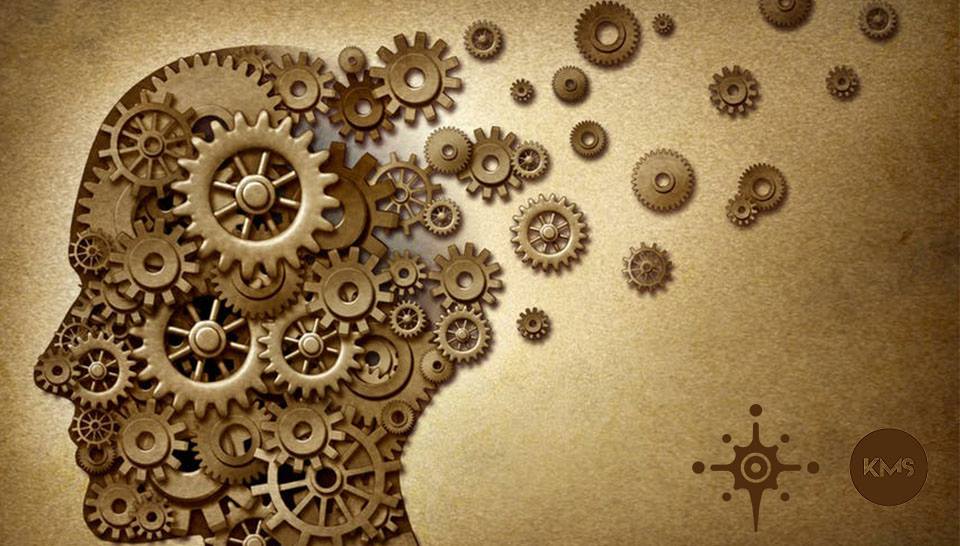 Neuročetvrtak: Koliko mozga zapravo koristimo?